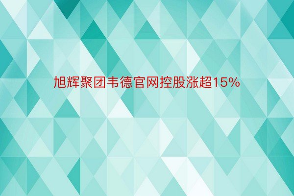 旭辉聚团韦德官网控股涨超15%